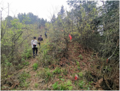 黔东南州县县通天然气管道建设项目洛香至榕江